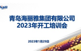 “开工第一课”开启海丽雅第二个百年新征程